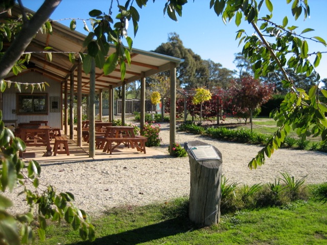 BBQ facilities and amazing views at Avenel Maze, great kids fun especially on school holidays